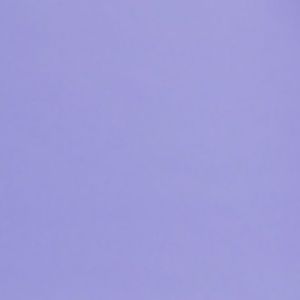 Meet your Posher, Ariel